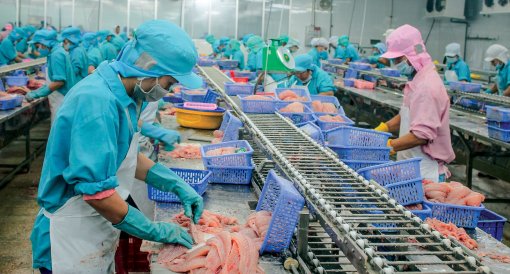 Tình hình kinh tế - xã hội thành phố tiếp tục

phát triển ổn định