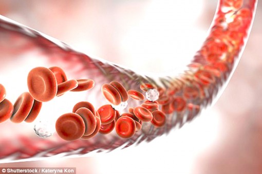 Chữa ung thư bằng tế bào miễn dịch của bệnh nhân sống sót