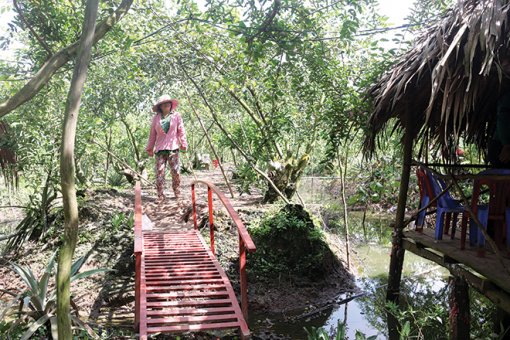 Du lịch sinh thái ở Mỹ Hòa Hưng