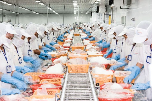 Bao tiêu “từ gốc”!