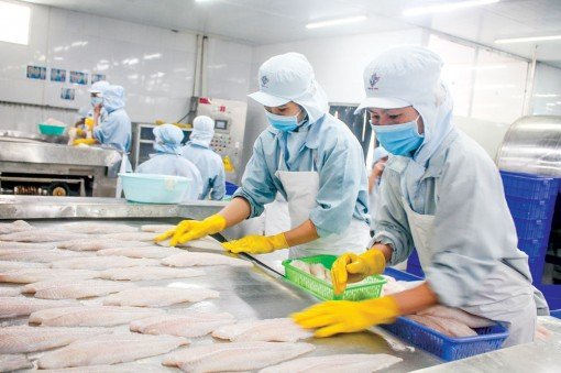 Tìm giải pháp thúc đẩy xuất khẩu cá tra sang thị trường EU