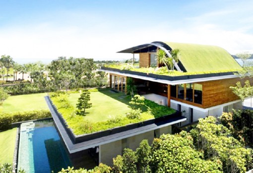 Vài thay đổi nhỏ cải thiện khả năng tập trung và trí nhớ