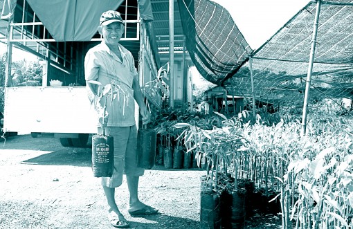 Bến Tre: Giá cây giống sầu riêng

tăng cao kỷ lục