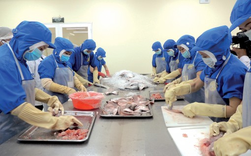 Tạo mọi điều kiện thu hút,

phát triển doanh nghiệp