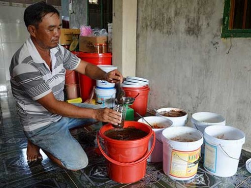 Nhớ hương vị mắm còng Phước Lại