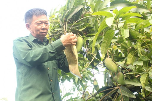Giữ gìn, phát huy bản chất

“Bộ đội cụ Hồ”