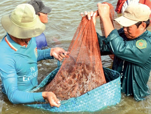 Tiếp cận công nghệ

tiên tiến tạo đột phá trong nuôi  trồng thủy sản