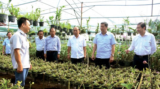 Hoàn thành sớm 
các chỉ tiêu kinh tế-xã hội