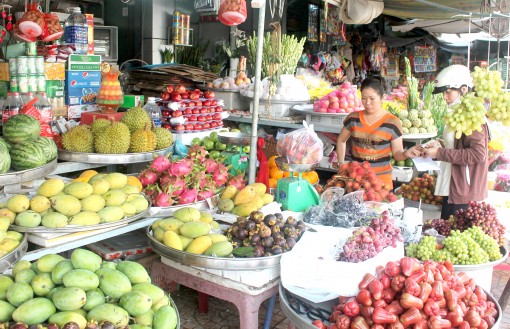 Tiềm năng lớn phát triển

cây ăn trái