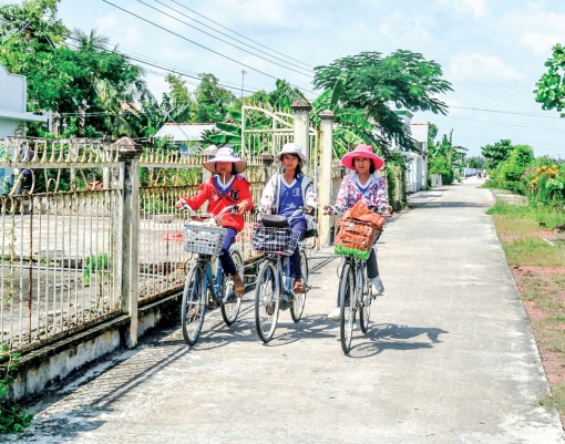 Nông thôn TP Cần Thơ qua số liệu Tổng điều tra nông thôn, nông nghiệp và thủy sản năm 2016