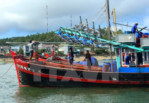 Khai thác và chế biến thủy sản, phát huy tiềm năng biển đảo Việt Nam