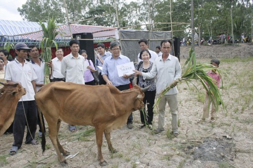 កាត់​បន្ថយ​ភាព​ក្រី​ក្រ​ដោយ​ចីរ​ភាព