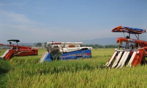 Xét công nhận 3 xã đạt chuẩn nông thôn mới