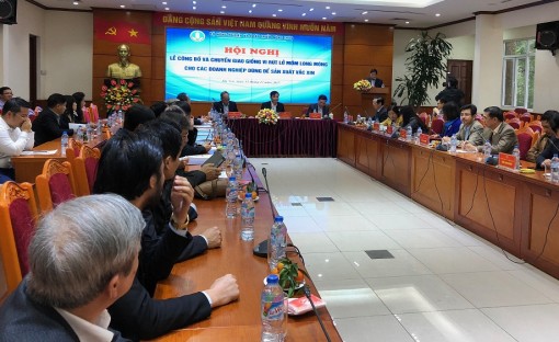 Việt Nam bắt đầu sản xuất vaccine lở mồm long móng