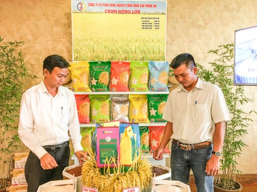 Liên kết nâng cao chuỗi giá trị thực phẩm cho vùng ĐBSCL