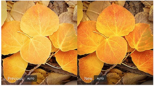 Adobe Lightroom được tăng cường AI cho các thiết lập tự động