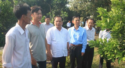 Hỗ trợ nông dân nâng cao giá trị sản xuất trên cùng một diện tích canh tác