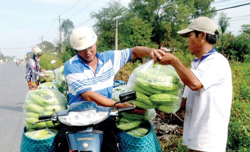 Nông thôn TP Cần Thơ qua số liệu Tổng điều tra nông thôn, nông nghiệp và thủy sản năm 2016