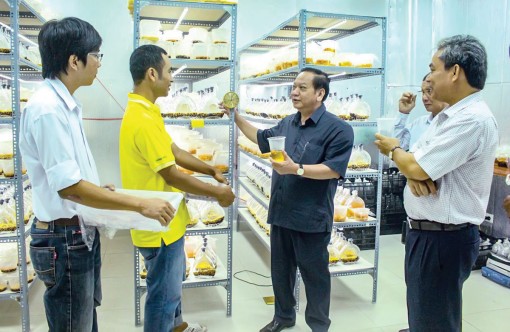 Trợ lực kịp thời cho doanh nghiệp sản xuất, kinh doanh