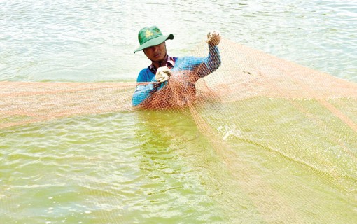 Tăng cường kiểm tra chất lượng thuốc thú y, thủy sản