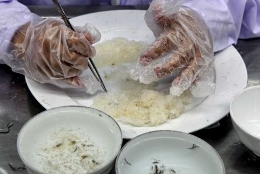 Chế biến yến thô như thế nào mà vẫn giữ được chất dinh dưỡng