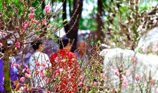 Chỉ thị của Ban Bí thư về việc tổ chức Tết năm 2018