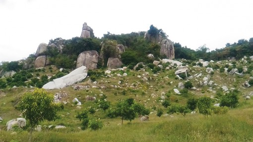 Thú vị núi Nênl Non