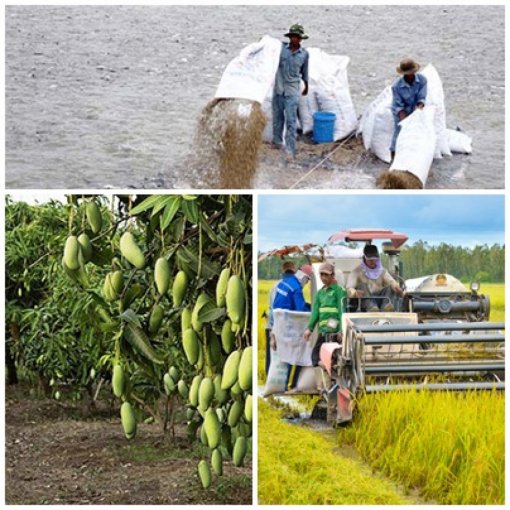 TP Cần Thơ tham gia đóng góp xây dựng Hướng dẫn sử dụng Bộ tiêu chí xác định các dự án liên kết vùng ĐBSCL