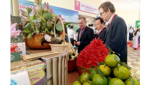 Điểm sáng tái cơ cấu nông nghiệp