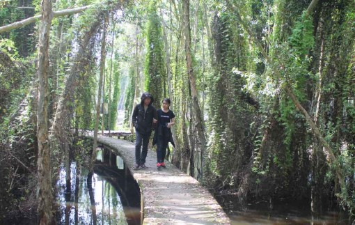 Tạo khởi đầu thú vị cho năm mới 2018