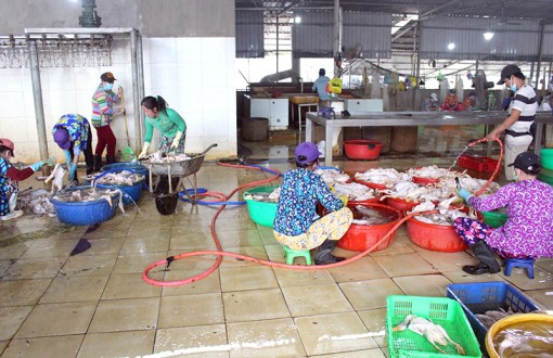 Cơ sở giết mổ gia cầm gây ô nhiễm môi trường nghiêm trọng - vì sao tồn tại kéo dài?