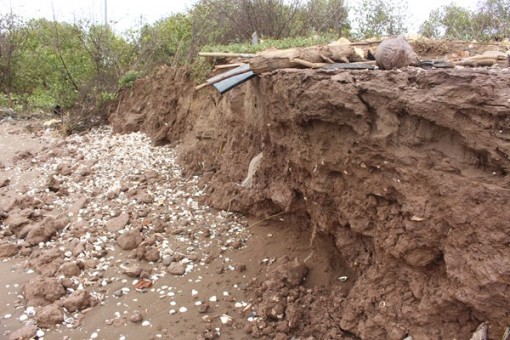 Sạt lở bờ biển nghiêm trọng tại Bến Tre