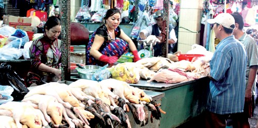 Giá nhiều loại gia cầm tăng