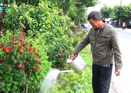 Sắc màu cuộc sống