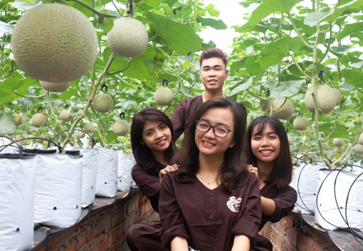 “Mài sắc” mũi nhọn du lịch<br>Bài 3: Tác động của ngoại lực