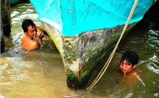 Dòng họ “Yết Kiêu” vùng sông nước Cà Mau