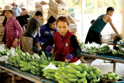 Liên kết chuỗi hành động