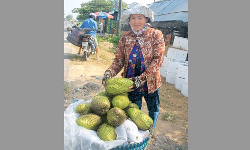 Đừng chạy theo phong trào!