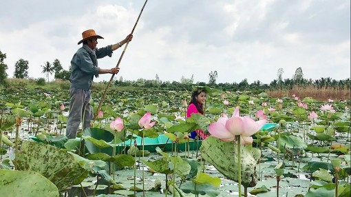 Doanh thu từ du lịch đạt gần 11.315 tỉ đồng