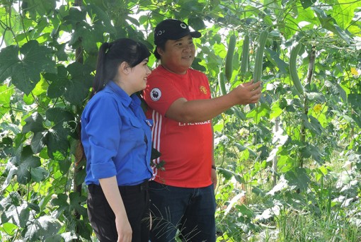 Phát triển kinh tế trên đất nhà