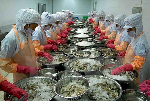 Xuất lô hàng thủy sản

đầu tiên trong năm 2018