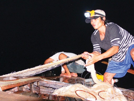 Đêm săn cá bông lau