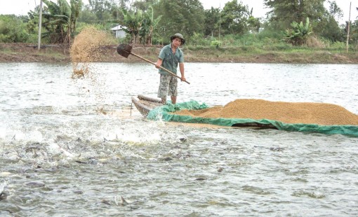 Cập nhật tiêu chuẩn mới để “mở đường” xuất khẩu thủy sản