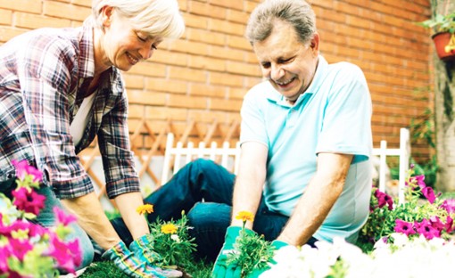 Làm vườn giúp bệnh nhân ung thư cải thiện sức khỏe 