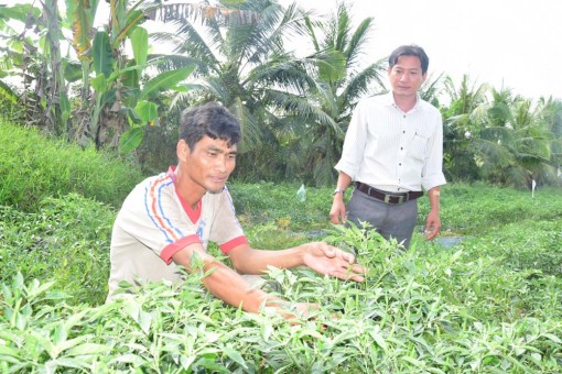 ផុង​ថាញ់​ពង្រីក​សេដ្ឋ​កិច្ច