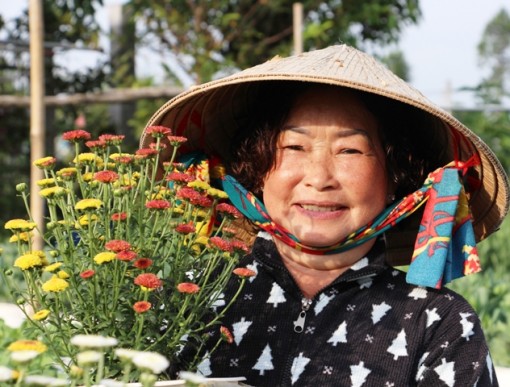 Những loài hoa lần đầu xuất hiện ở TP.Sa Đéc