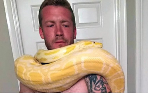 Người đàn ông chết oan ức vì bị trăn cưng siết chặt trong lúc ngủ