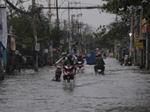 Nguy cơ triều cường gây ngập lụt sâu ở TP.HCM, Cần Thơ, Vĩnh Long