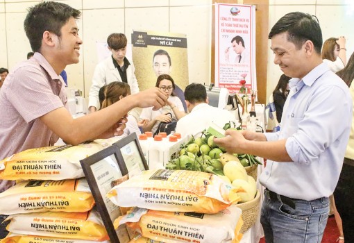 Ươm hạt mầm khởi nghiệp