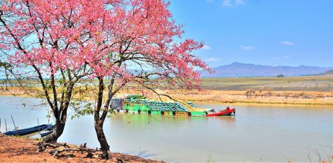 Về miệt An Giang